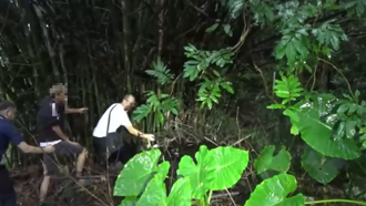新北狠父「親生兒遺骸」裝提袋棄屍山區！6年前阻妻報案原因曝