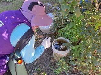 桃園登革熱累積20例境外移入 5旬歲婦印度旅行中招