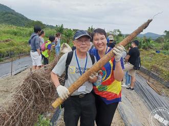新北山藥季展開！田間採山藥玩轉周邊景點 再品星級美味
