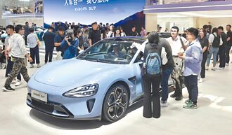 陸車市殺見骨 賣越多虧越多