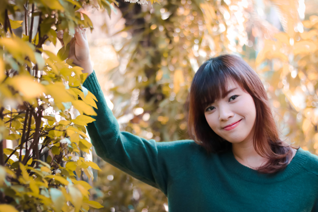 虎、蛇、猴、豬4生肖迎好運，從秋天一路旺到冬天。（示意圖：Shutterstock／達志）