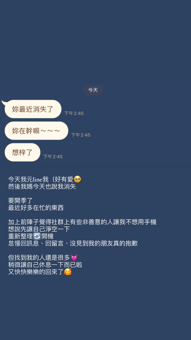 董梓宁限时动态全文。（图／ 董梓宁 Instagram）