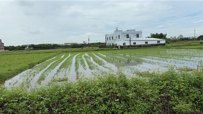 每逢豪大雨，各地管理處的小組長都要協助排水、顧水路，薪資低、工作繁雜，一年一度的水利節餐會是唯一的年度聚餐，遭爆料浪費錢後，農民感到委屈不甘。（桃園市農業局提供）