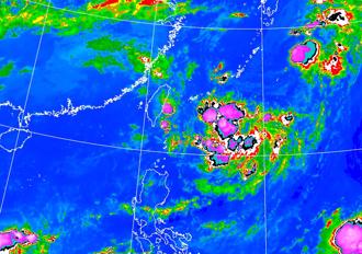 准燕子逼近！专家示警：美国模式估登陆台湾