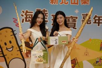 新北山藥上市！享用海陸珍寶宴 採山藥、沙雕派對半價優惠