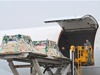 陸贈送大貓熊今搭機赴香港 「安安可可」預估中午前抵達