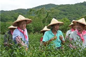 農水署斥資近億元改善冬山灌溉 預估150家農戶受益