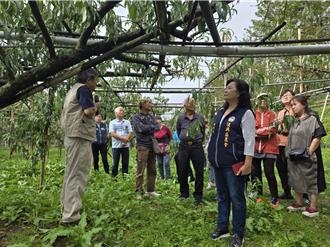 桃園農業局輔導拉拉山果樹產業再升級 照顧農民耕作權益