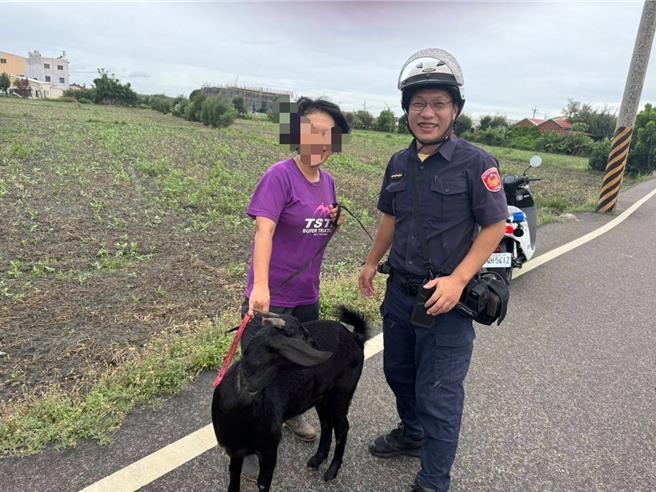 大甲警分局西岐派出所警员蔡贤德（右）安心的把羊只交还饲主林小姐领回照料，让人羊开心团圆。（大甲警分局提供／张妍溱台中传真）