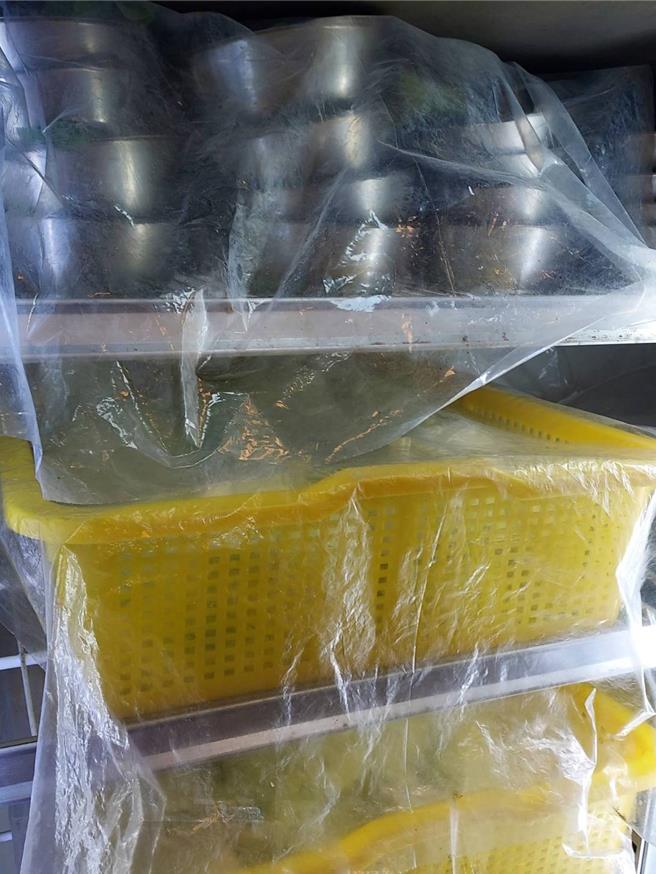 卫生局前往该连锁火锅店稽查时，现场并未发现病媒出没、积水等情形。(卫生局提供／曹婷婷台南传真)