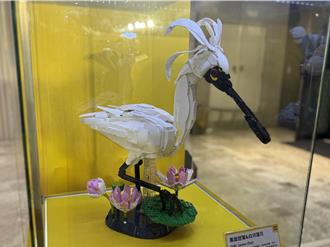 樂高快閃店登陸台南！劍獅、琵鷺在地元素化身積木