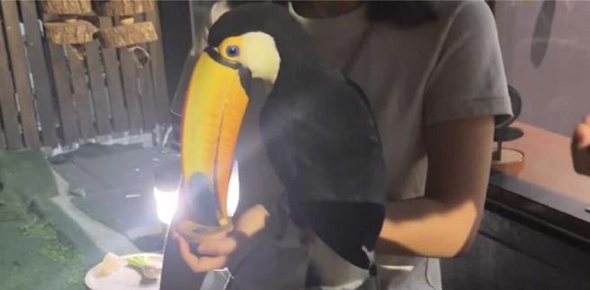 台北市中正区一间主打可以与大嘴鸟互动的宠物餐厅，遭动保处查获该店以贩售水果盘方式，让民眾与大嘴鸟近距离互动，获取利益情形已涉及动物展演，依违反《动物保护法》裁处5万元整。（图／台北市动保处）