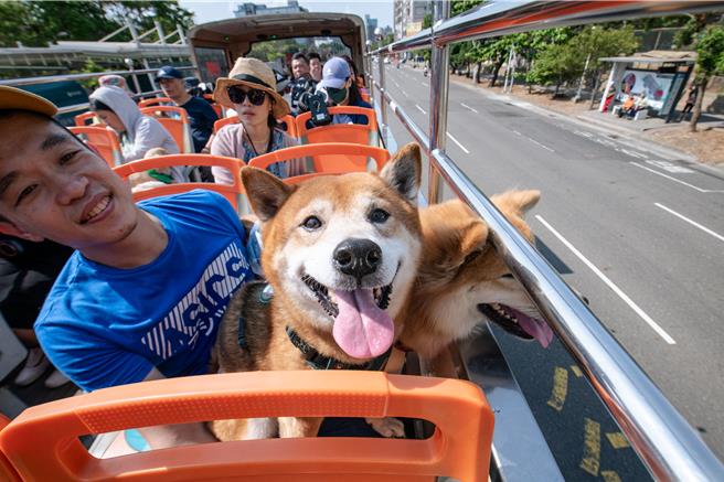 高雄市动物保护处为迎接11月30日于中央公园登场的「2024好伴毛孩嗷运会颁奖典礼」，邀请所有毛孩选手与萌宠爸妈，结合「好伴ban车车」，以乘坐游船巡港方式传递嗷运圣火，将高雄宠物友善的氛围向外传递至各角落，即日起开放报名，额满为止。（高雄市动保处提供／林雅惠传真）