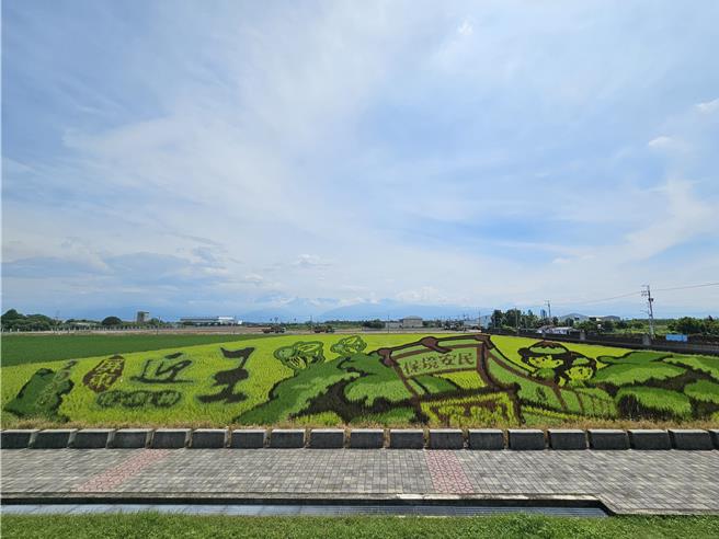 南州彩繪稻田28、29日舉行觀光市集活動，迎王稻田相當吸睛。（羅琦文攝）