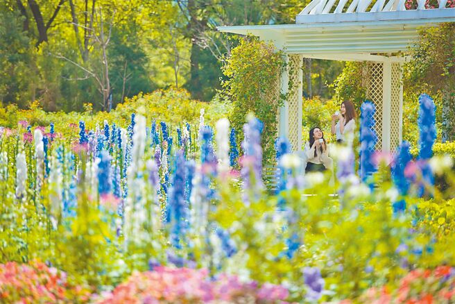 远离城市喧嚣，享受香草花园的独特频率。（花莲秧悦美地度假酒店提供）