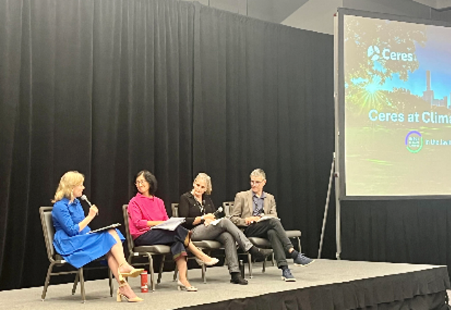 國泰金控投資長程淑芬同時應水資源倡議單位Ceres （Ceres Valuing Water Finance Initiative ）邀請，分享「水資源管理建構企業氣候韌性」為台灣唯一代表人。（圖/國泰金控提供）