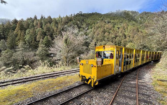 宜蘭縣太平山國家森林遊樂區的蹦蹦車，8月6日起將局部復駛。（林業保育署宜蘭分署提供／資料照）