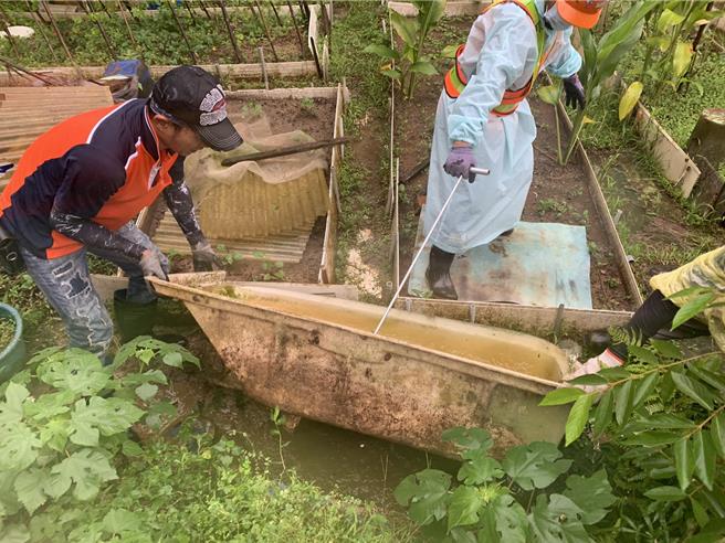 新北市政府派员加强清消，防堵登革热疫情。（新北市卫生局提供）