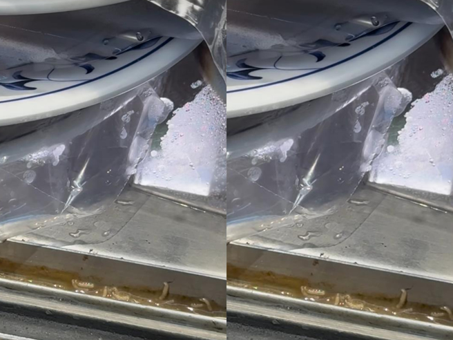 台北市行天宮附近有間火鍋店，店內放置食材的冷凍櫃的拉門軌道，遭用餐客人發現藏有一排的蛆在蠕動，但店員獲知後僅將蛆清除後便不願多解釋。（翻攝自Facebook【爆料公社二社】）