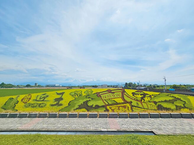 南州迎王彩繪稻田28、29日舉行觀光市集活動，空拍照相當吸睛。（羅琦文攝）