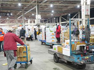 山陀兒逼近＋休市！北市蔬菜漲勢驚人 均價漲至56.7元