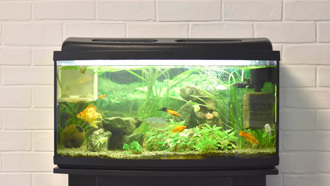 喝水太少恐破財！命理師：用水不當有損財運