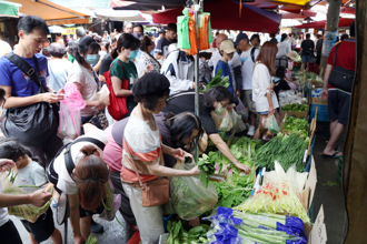 山陀儿来、菜价涨！叶菜类价格破百 民眾荷包大失血