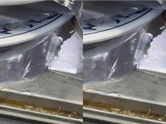 北市火鍋店冷藏櫃驚見蛆蠕動 衛生局稽查揪7缺失