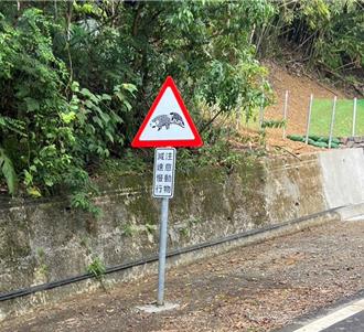 穿山甲、澤蟹求關注！新北打造友善動物道路