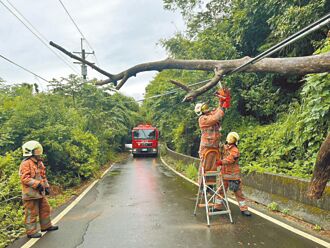 路樹倒塌也要管 打火之餘忙鋸樹