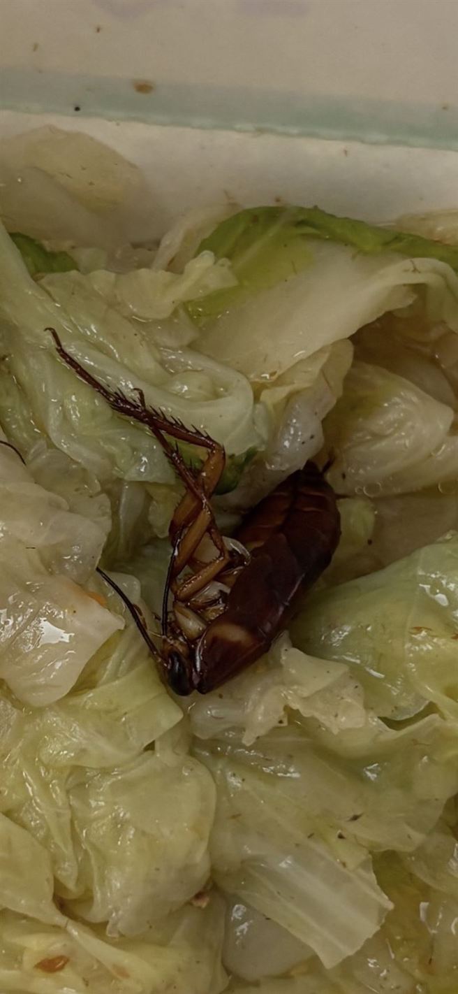 网友们都好奇，这么大一只蟑螂却没发现，店员打包的时候是闭着眼吗。（翻摄自爆料公社）