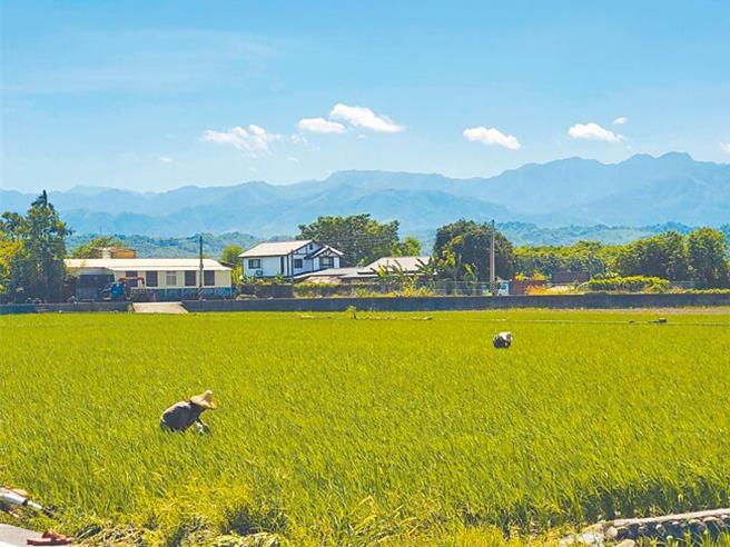 內政部強調不影響農民權益，籲一起努力讓國土計畫如期上路。(本報系資料照片)