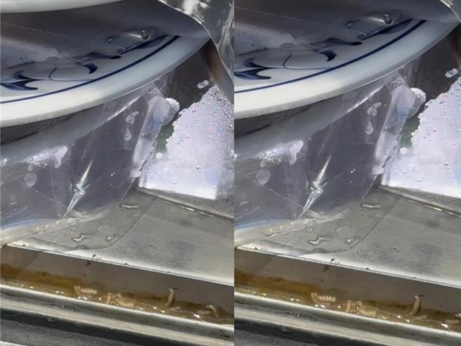 台北市行天宫附近松江石头火锅城，昨日有民眾反映店内放置食材的冷冻柜惊见一整排的蛆在蠕动，北市卫生局29日前往稽查。（翻摄自脸书【爆料公社二社】）