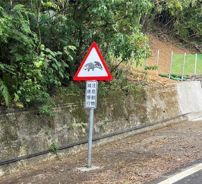 在汐止区八连路以穿山甲宝宝趴在妈妈尾巴上的生物习性为设计构想，新设道路警示牌。（新北市农业局提供）