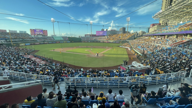 中信兄弟距离下半季冠军只剩最后一哩路，桃园球场用入许多黄衫球迷。（毛琬婷摄）