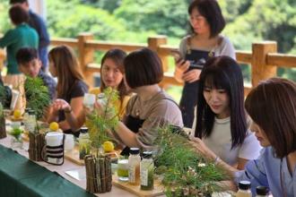 森林療癒！百場活動開放報名 享受森林瑜珈舒放身心