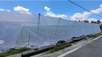 山陀儿颱风袭台 农业局吁做好防范措施