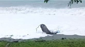 颱風山陀兒掀長浪 台東「大地之母」洗頭了