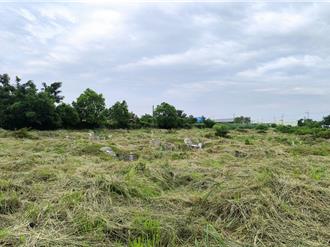 墓園變公園！台中大雅第6公墓辦遷葬 將騰出1.6公頃綠地