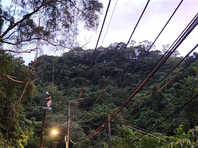 因应颱风即将来袭，台电北南区处加紧树修作业，避免树木倒压供电线路，造成停电。（台电北南区处提供）