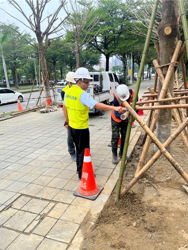 因应山陀儿颱风来袭，高雄市公园处动员加强路树固定。（高雄市工务局提供／任义宇高雄传真）