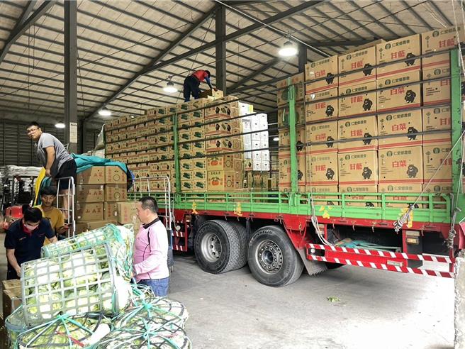 农民赶在颱风来临前抢收高山蔬果，仁爱乡农会集货场30日大爆满，工作人员忙着装载赶着出货。（杨静茹摄）