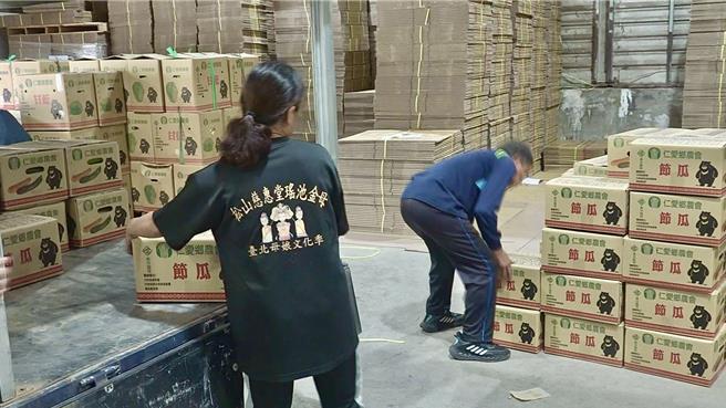 仁爱乡农友赶在山陀儿来袭前抢收甜椒、牛番茄、栉瓜等高山蔬菜，盼能降低损失。（杨静茹摄）