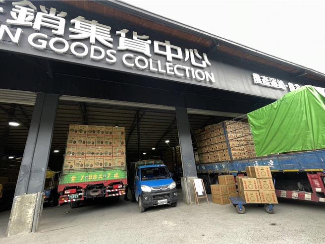 仁爱乡农会集货场周一到货量原本就比较多，加上颱风来袭的预期心理，30日集货场大爆满。（杨静茹摄）