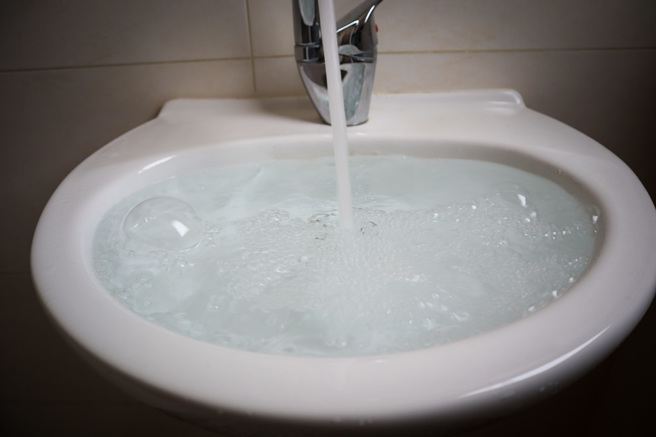 美国佛州一对夫妻发现一只古巴树蛙藏在洗手台的溢水孔内，后来将牠「引诱出洞」，成功收编。（示意图：Shutterstock／达志）