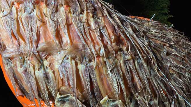 2024东港迎王活动特制的「双龙双凤平安桥」，凤身上面挂有500斤乾鱿鱼。（图／摄自 FB@天香醮典文化 ）