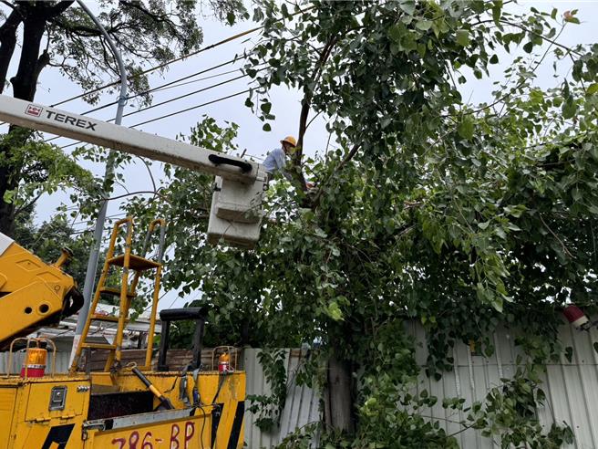 台电凤山区处人员加强修剪树木防灾。（台电提供）