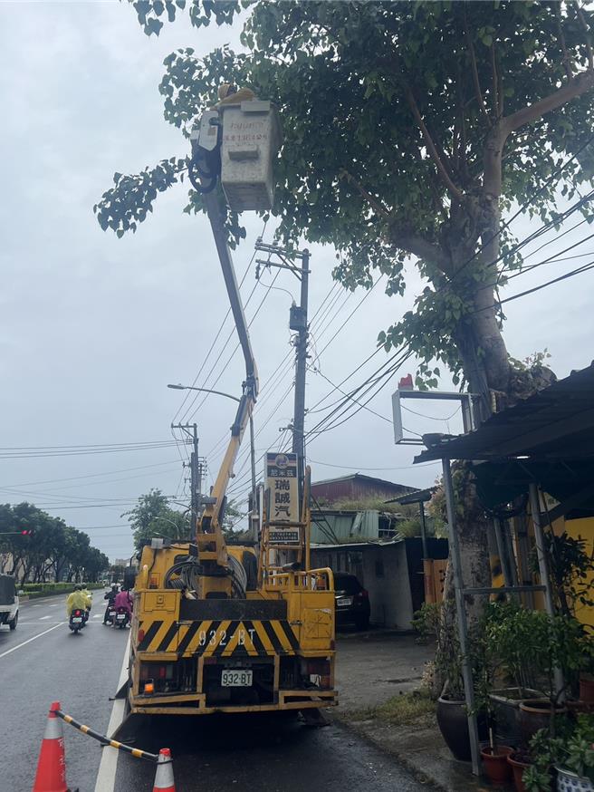 台电凤山区处人员加强修剪树木防灾。（台电提供）