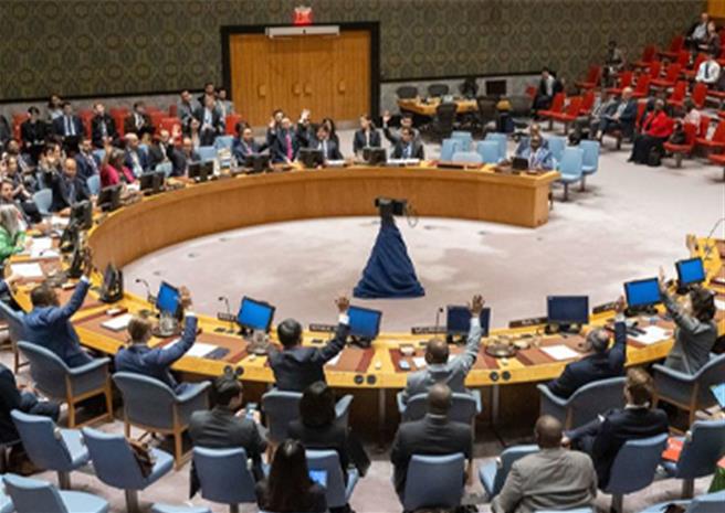 安理会一致通过，中方期待海地多国安全支助团加快部署到位。（大陆常驻联合国代表团）