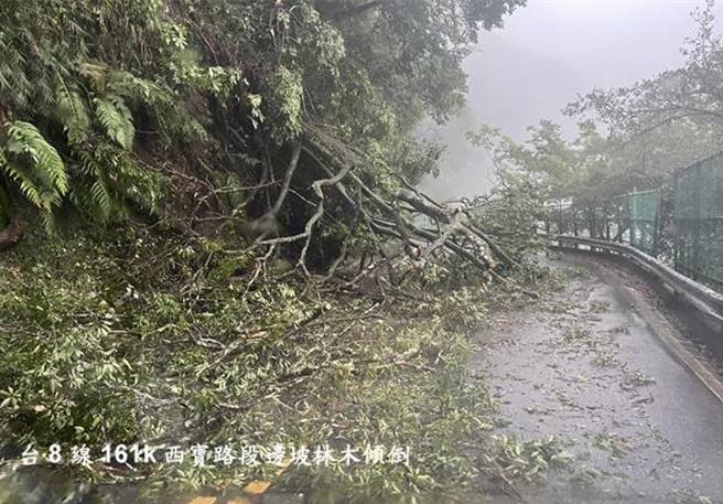 台8線161K西寶路段邊坡林木傾倒。（公路局提供／蔡明亘台北傳真）